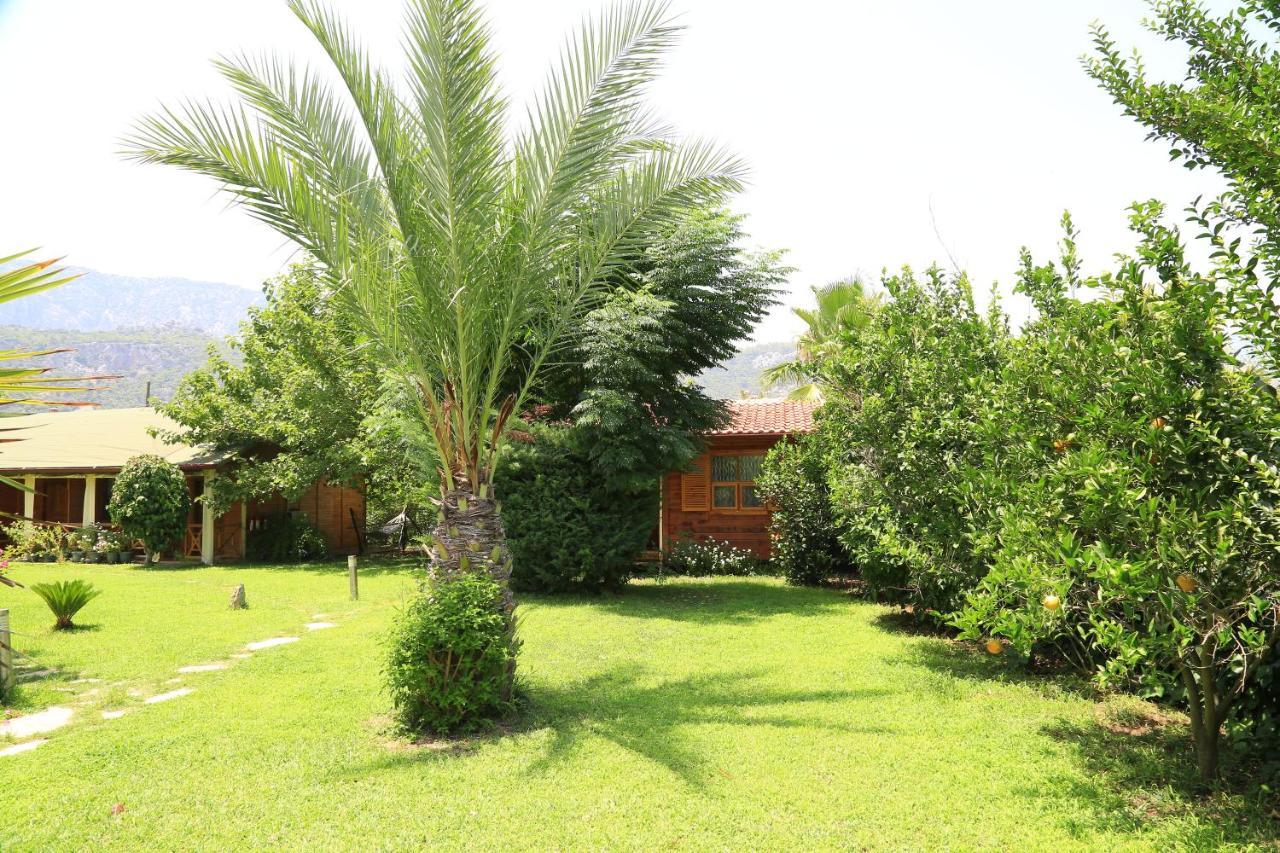 Tunays Pansiyon Bed and Breakfast Çıralı Eksteriør billede