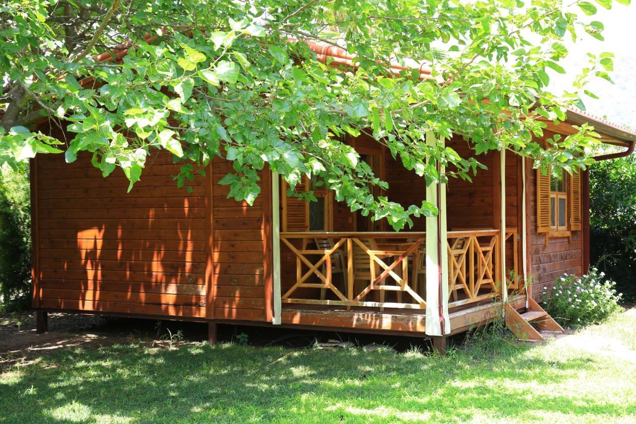 Tunays Pansiyon Bed and Breakfast Çıralı Værelse billede