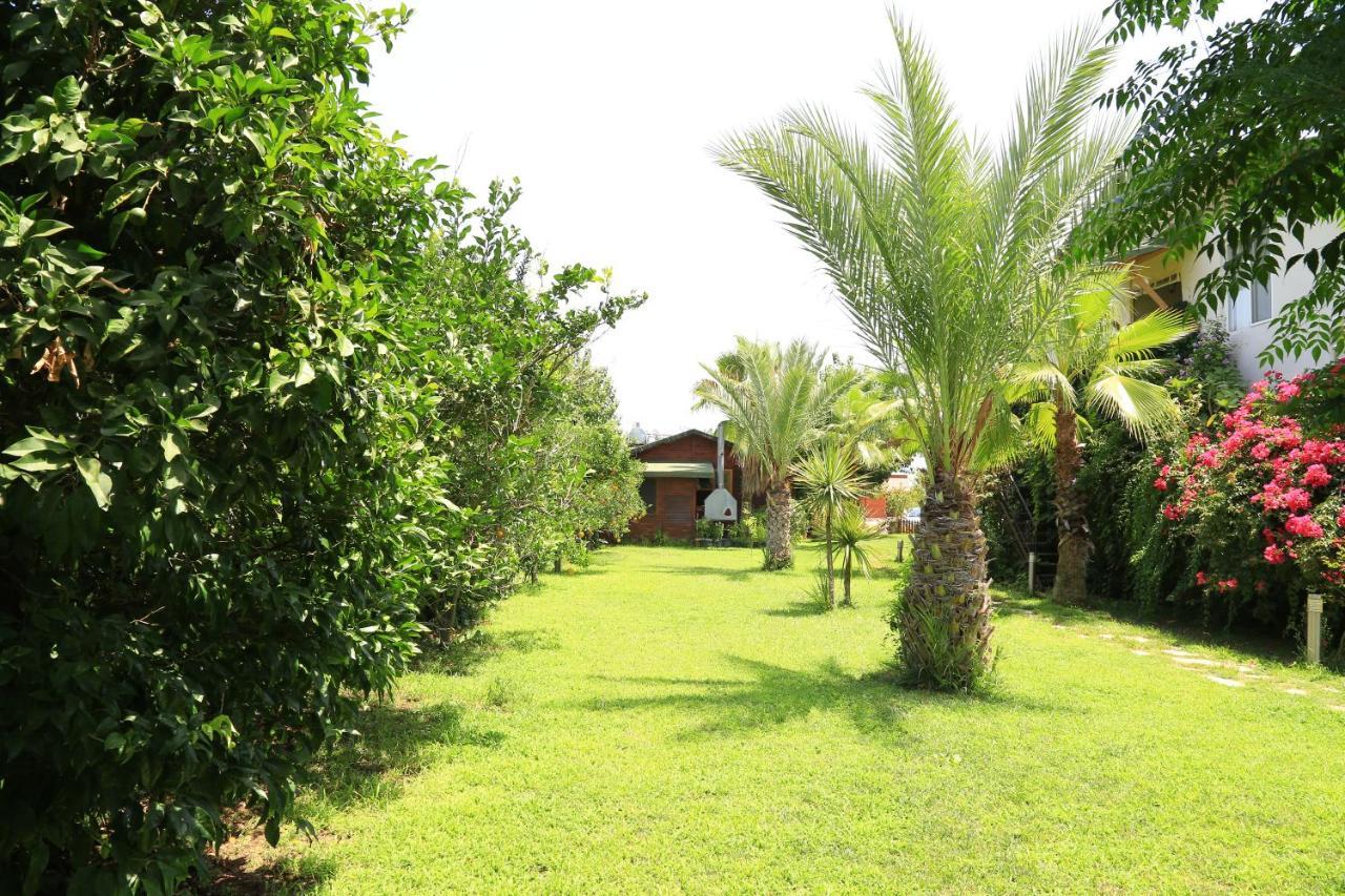 Tunays Pansiyon Bed and Breakfast Çıralı Værelse billede
