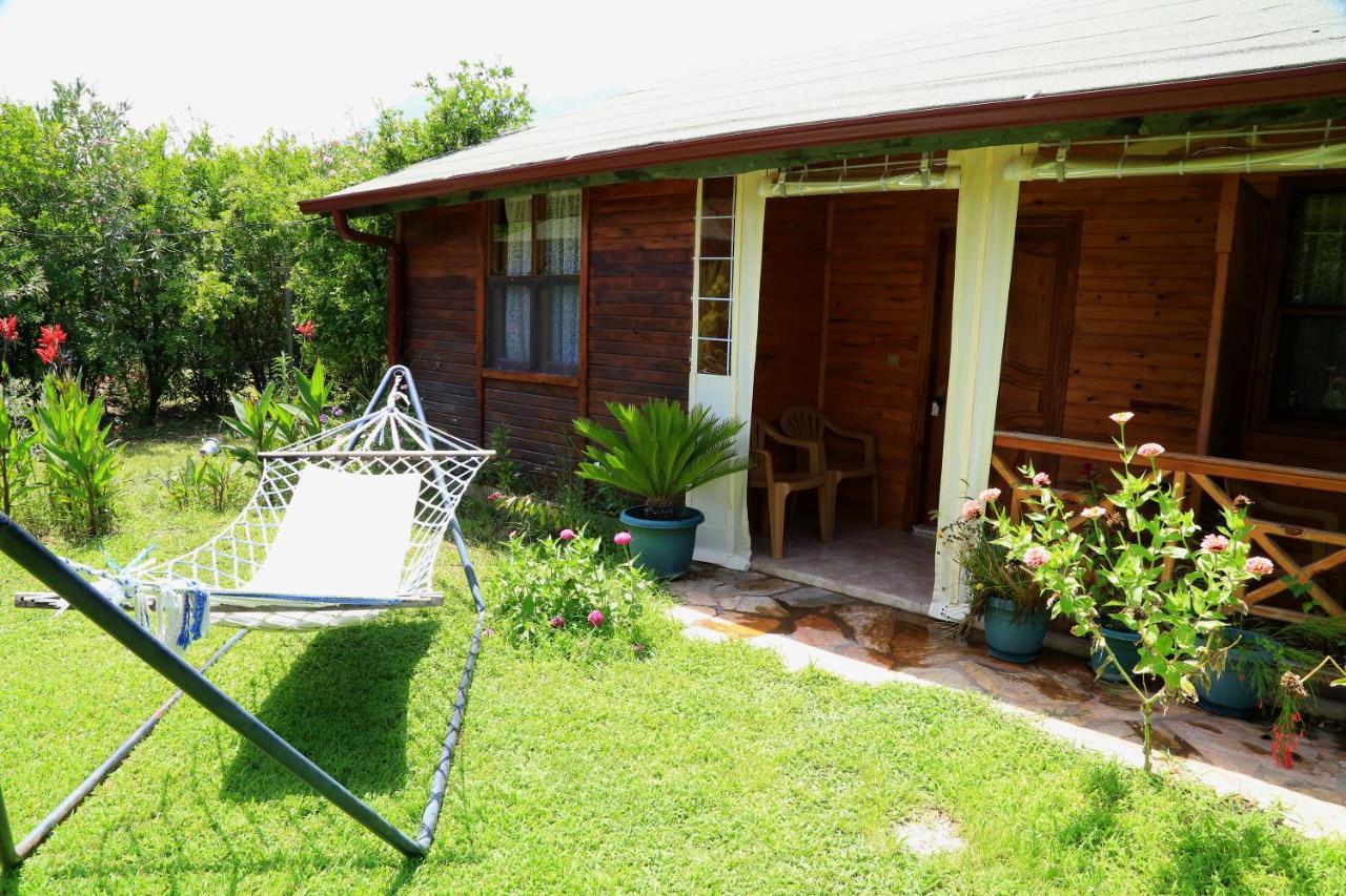 Tunays Pansiyon Bed and Breakfast Çıralı Værelse billede