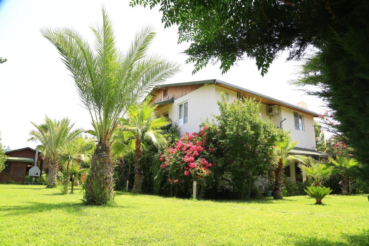 Tunays Pansiyon Bed and Breakfast Çıralı Værelse billede