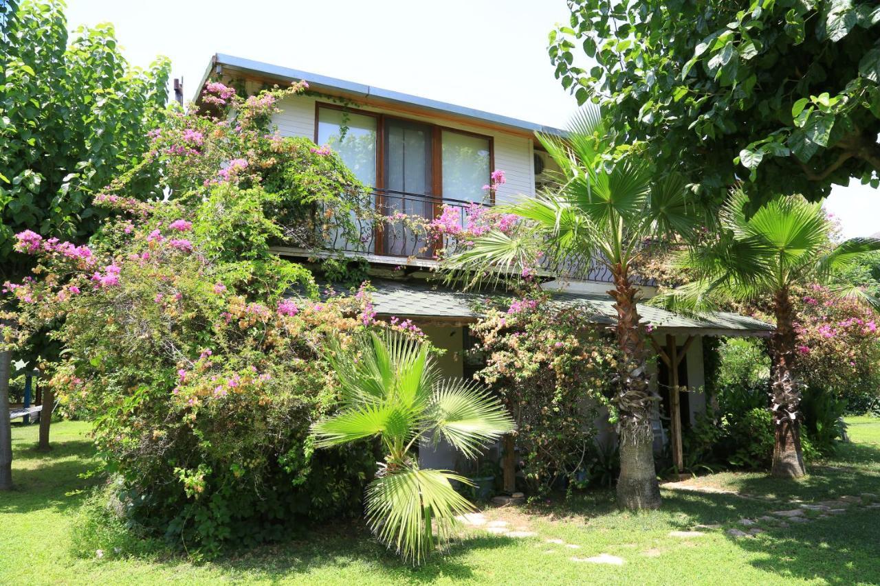 Tunays Pansiyon Bed and Breakfast Çıralı Eksteriør billede