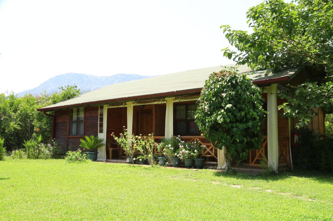 Tunays Pansiyon Bed and Breakfast Çıralı Værelse billede